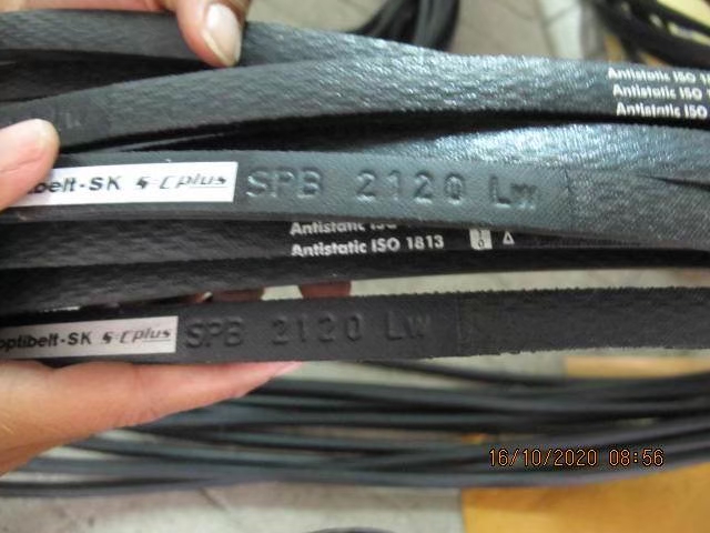 Belt Photo 10